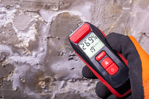 Attic Mold Removal in Hobbs, NM